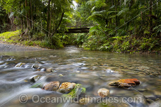 Urumbilum River Coffs Harbour photo