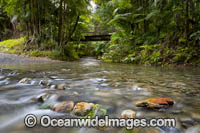Urumbilum River Coffs Harbour Photo - Gary Bell