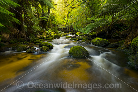 Waterfall Cascade Tasmania photo