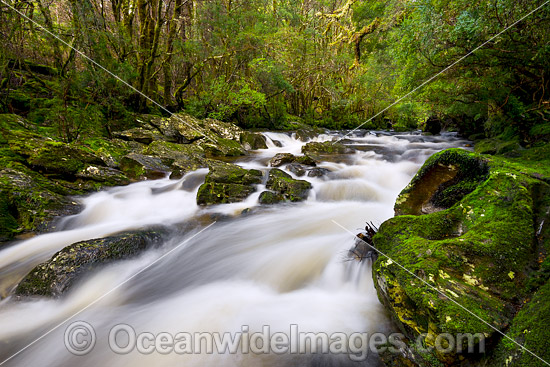 Cascade Cradle Mountain photo