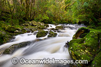 Cascade Cradle Mountain Photo - Gary Bell