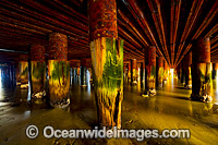 Princes Pier Melbourne Photo - Gary Bell