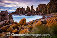 The Pinnacles Phillip Island Photo - Gary Bell