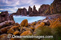 The Pinnacles Phillip Island Photo - Gary Bell