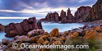 The Pinnacles Phillip Island Photo - Gary Bell