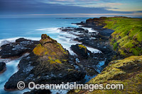 The Nobbies Phillip Island Photo - Gary Bell