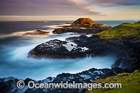 The Nobbies Phillip Island Photo - Gary Bell