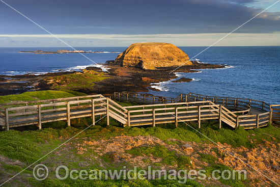The Nobbies Phillip Island photo The Nobbies Phillip Island photo