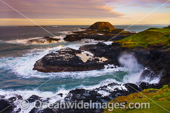 The Nobbies Phillip Island photo The Nobbies Phillip Island photo