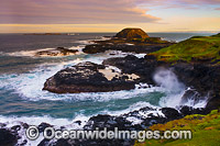 The Nobbies Phillip Island Photo - Gary Bell