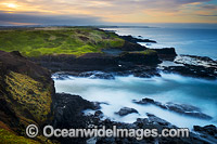 The Nobbies Phillip Island Photo - Gary Bell