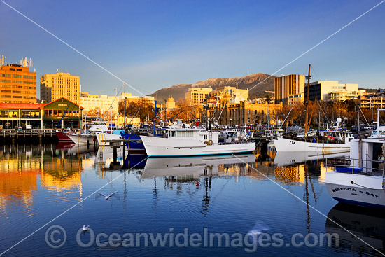 Constitution Dock Hobart Tasmania photo Constitution Dock Hobart Tasmania photo