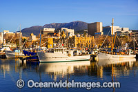 Constitution Dock Hobart Tasmania Photo - Gary Bell