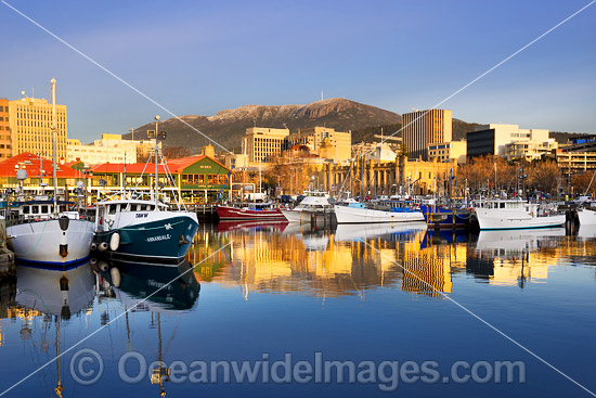 Constitution Dock Hobart Tasmania photo Constitution Dock Hobart Tasmania photo