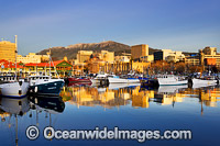 Constitution Dock Hobart Tasmania Photo - Gary Bell