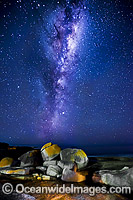 The Milky Way Photo - Gary Bell