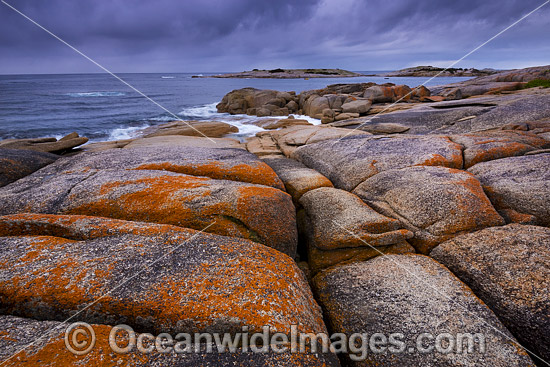 Bicheno Tasmania photo Bicheno Tasmania photo
