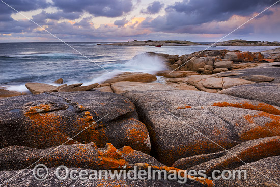 Bicheno Tasmania photo Bicheno Tasmania photo