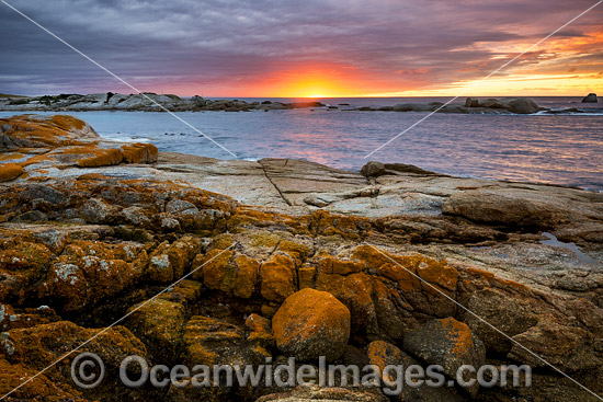 Bicheno Tasmania photo Bicheno Tasmania photo