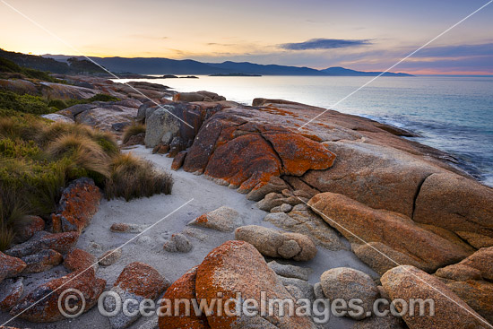Bicheno Tasmania photo Bicheno Tasmania photo