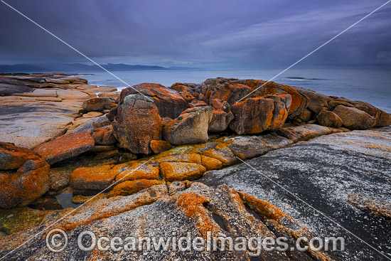 Bicheno Tasmania photo Bicheno Tasmania photo