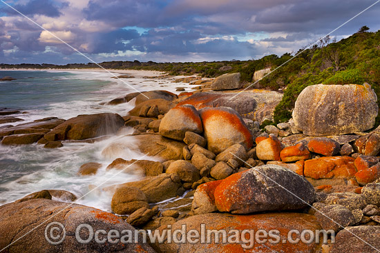 Bay of Fires Tasmania photo Bay of Fires Tasmania photo