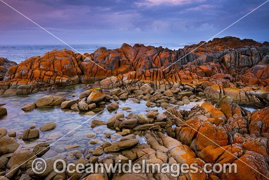 Bay of Fires Tasmania photo Bay of Fires Tasmania photo