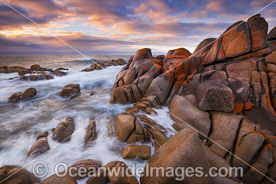 Bay of Fires Tasmania photo Bay of Fires Tasmania photo