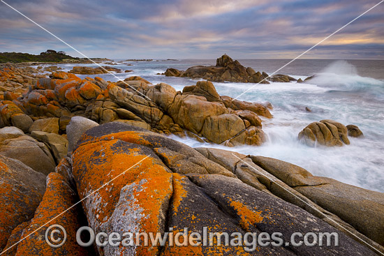 Bay of Fires Tasmania photo