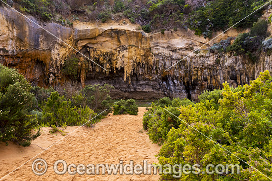 Loch Ard Gorge photo Loch Ard Gorge photo