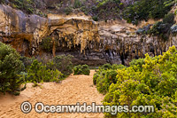 Loch Ard Gorge Photo - Gary Bell