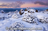 Mount Wellington with snow Photo - Gary Bell