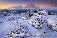 Mount Wellington with snow Photo - Gary Bell