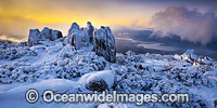 Mount Wellington with snow Photo - Gary Bell