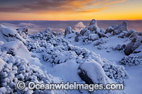 Mount Wellington with snow Photo - Gary Bell