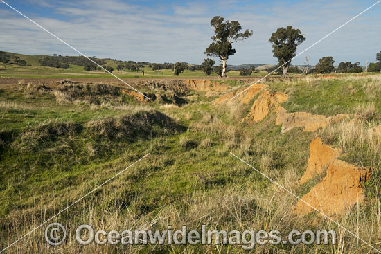 Erosion Farmland Australia photo Erosion Farmland Australia photo