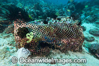 Reef destruction Philippines Photo - Gary Bell