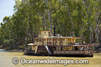 Murray River Paddlesteamer Photo - Gary Bell