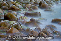 Bluestone Bay Freycinet Tasmania Photo - Gary Bell