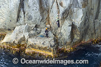 Rock Climbers Beowulf Wall Photo - Gary Bell