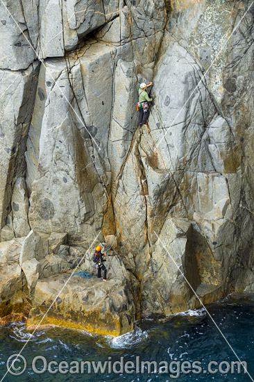 Rock Climbers Beowulf Wall photo Rock Climbers Beowulf Wall photo