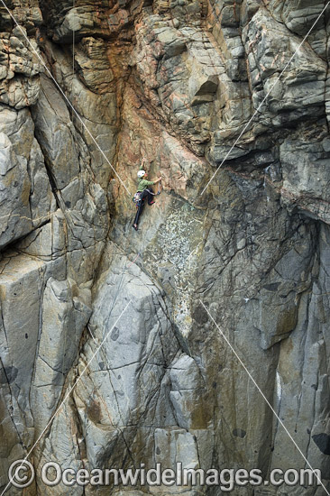 Beowulf Wall Tasmania photo