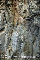 Beowulf Wall Tasmania Photo - Gary Bell