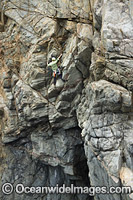 Rock Climber Beowulf Wall Photo - Gary Bell