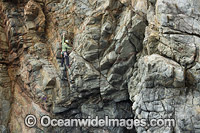 Rock Climber Beowulf Wall Photo - Gary Bell