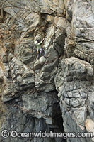 Beowulf Wall Tasmania Photo - Gary Bell