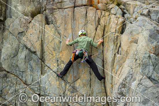 Rock Climber Beowulf Wall photo Rock Climber Beowulf Wall photo
