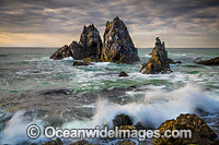 Camel Rocks Bermagui Photo - Gary Bell