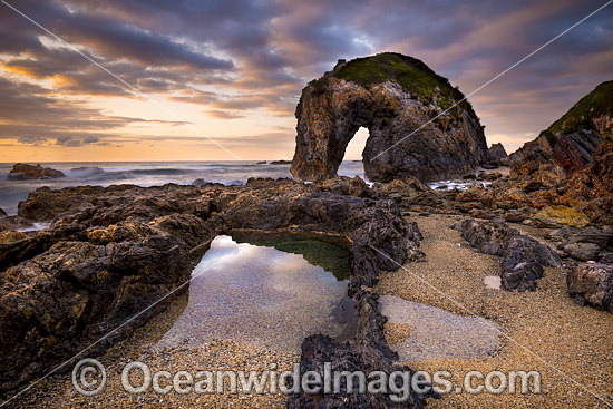 Horse Head Rock Bermagui photo Horse Head Rock Bermagui photo
