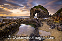 Horse Head Rock Bermagui Photo - Gary Bell